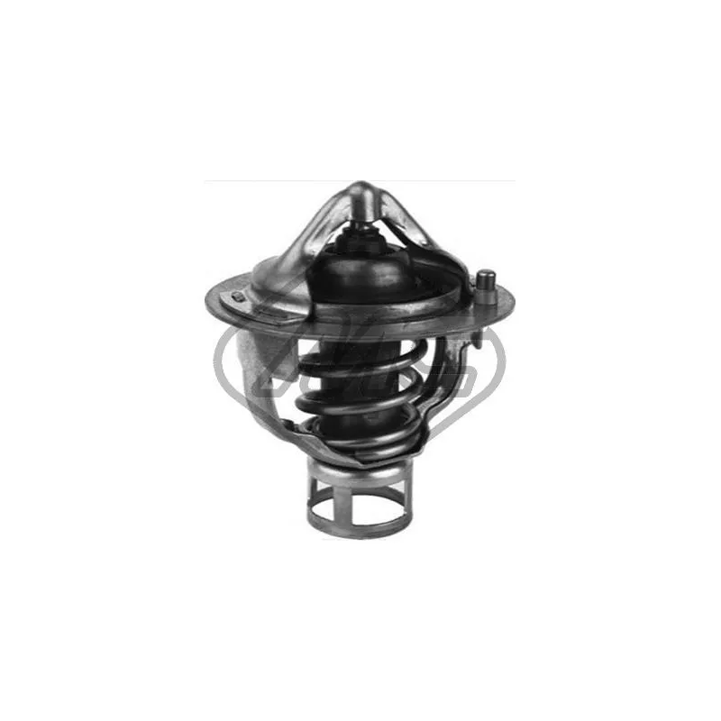 Thermostat d'eau Metalcaucho 30290