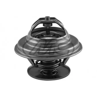 Thermostat d'eau Metalcaucho 30298