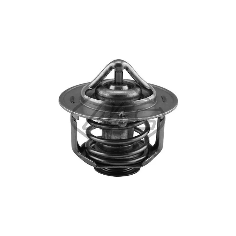 Thermostat d'eau Metalcaucho 30302