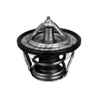 Thermostat d'eau Metalcaucho 30306