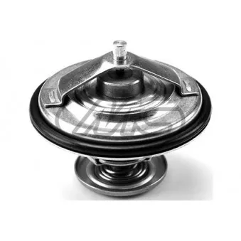 Thermostat d'eau Metalcaucho 03255