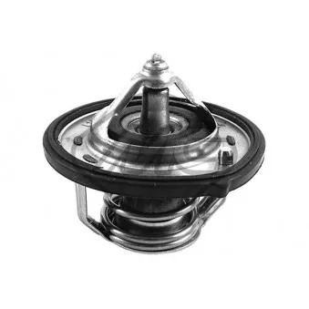 Thermostat d'eau Metalcaucho 03289