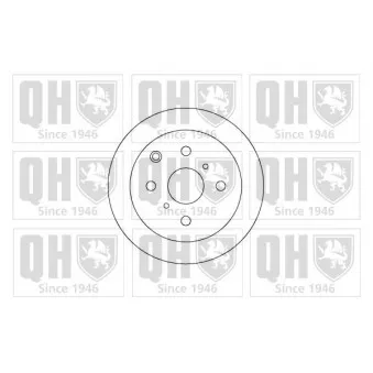 Jeu de 2 disques de frein arrière QUINTON HAZELL BDC3904