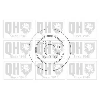 Jeu de 2 disques de frein arrière QUINTON HAZELL BDC4388
