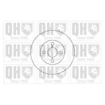 Jeu de 2 disques de frein arrière QUINTON HAZELL BDC4917
