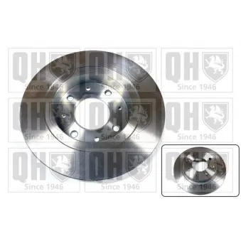 Jeu de 2 disques de frein arrière QUINTON HAZELL BDC5003