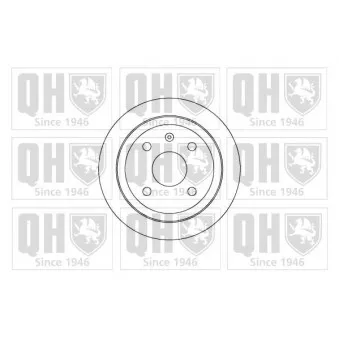 Jeu de 2 disques de frein arrière QUINTON HAZELL BDC5008