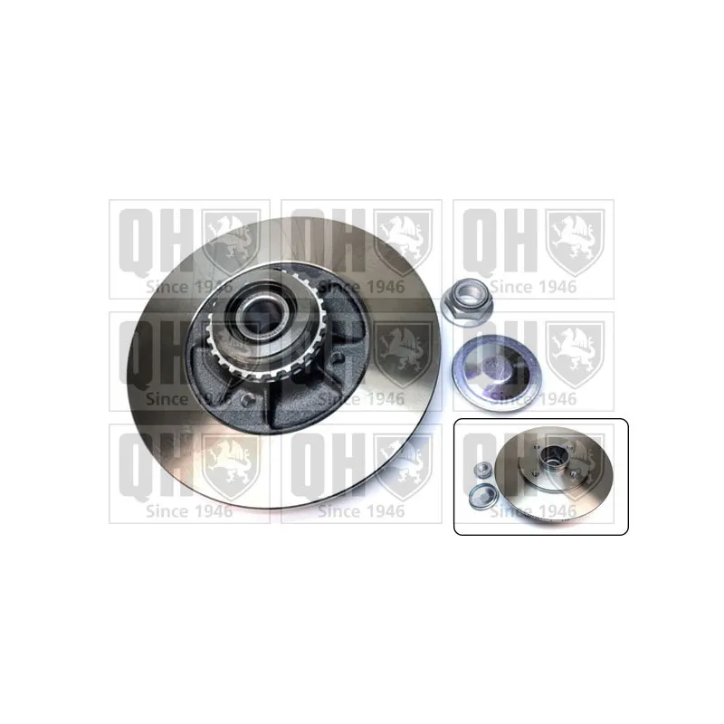 Jeu de 2 disques de frein arrière QUINTON HAZELL BDC6001