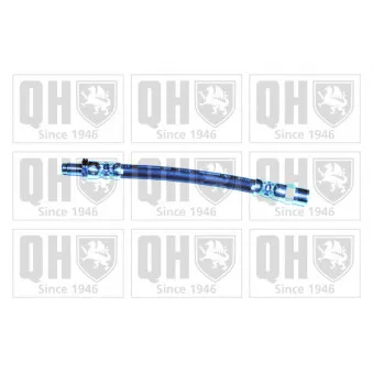 Flexible de frein QUINTON HAZELL BFH1033