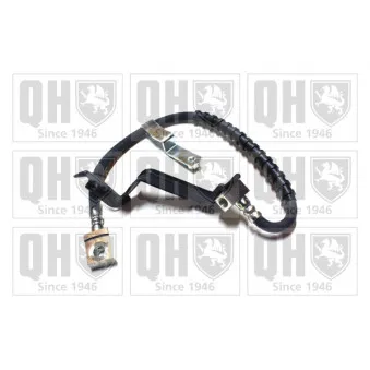 Flexible de frein QUINTON HAZELL BFH4981