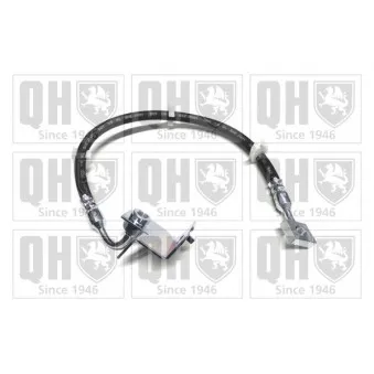 Flexible de frein QUINTON HAZELL BFH6081