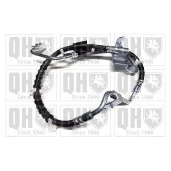 Flexible de frein QUINTON HAZELL BFH6106