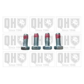 Boulon, étrier de frein QUINTON HAZELL BFK606