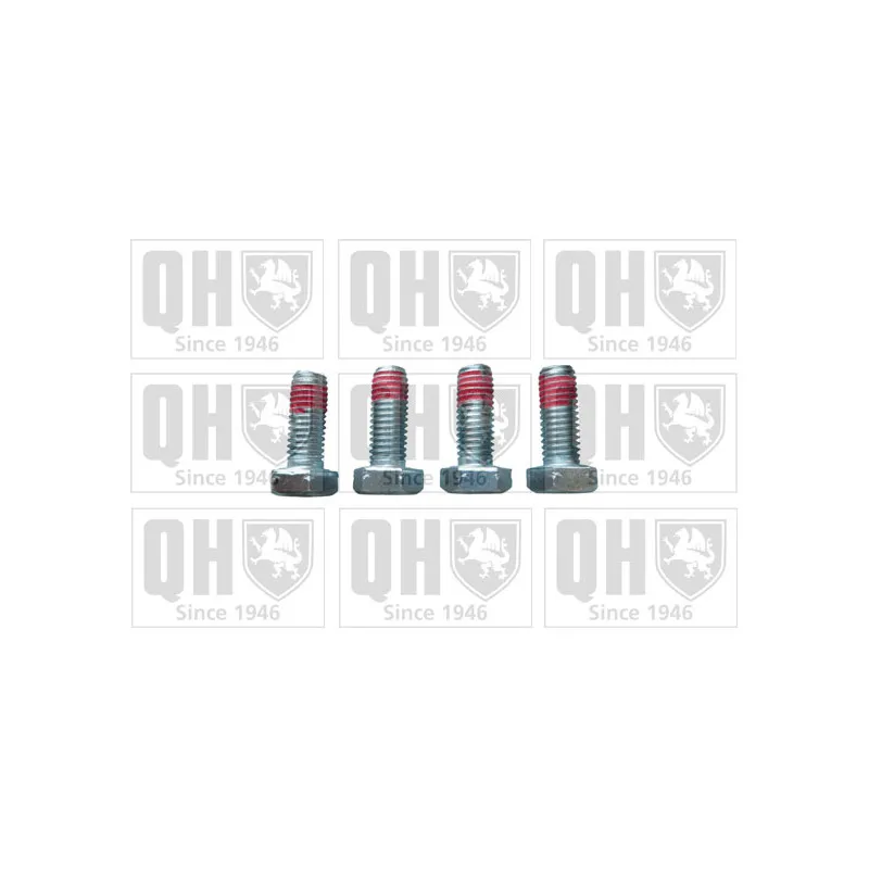 Boulon, étrier de frein QUINTON HAZELL BFK606