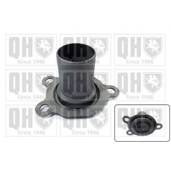 Douille de guidage, embrayage QUINTON HAZELL CCT29K