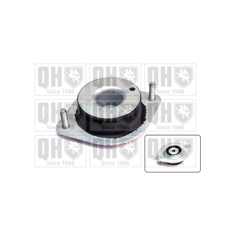 Suspension, boîte automatique QUINTON HAZELL EM2816