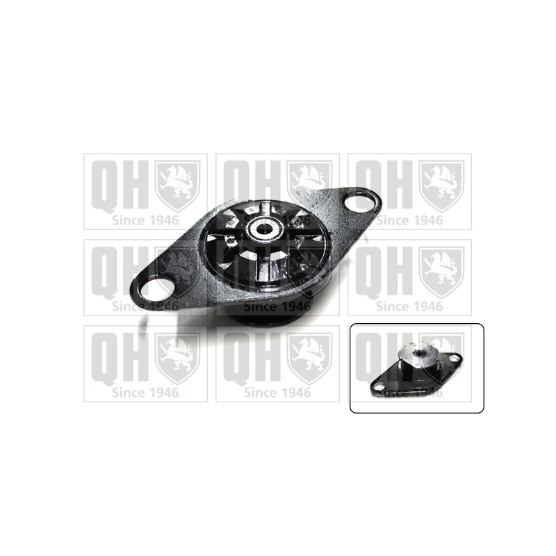Suspension, boîte automatique QUINTON HAZELL EM4048