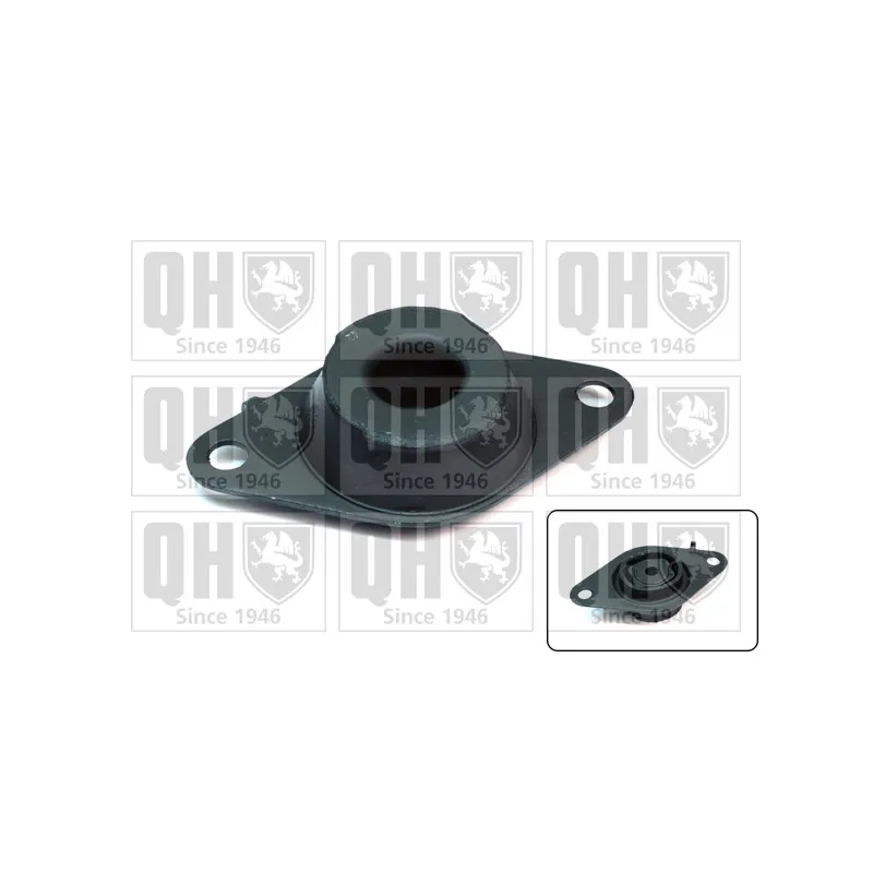 Suspension, boîte automatique QUINTON HAZELL EM4326
