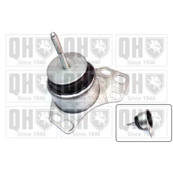 Suspension, boîte automatique QUINTON HAZELL EM4370