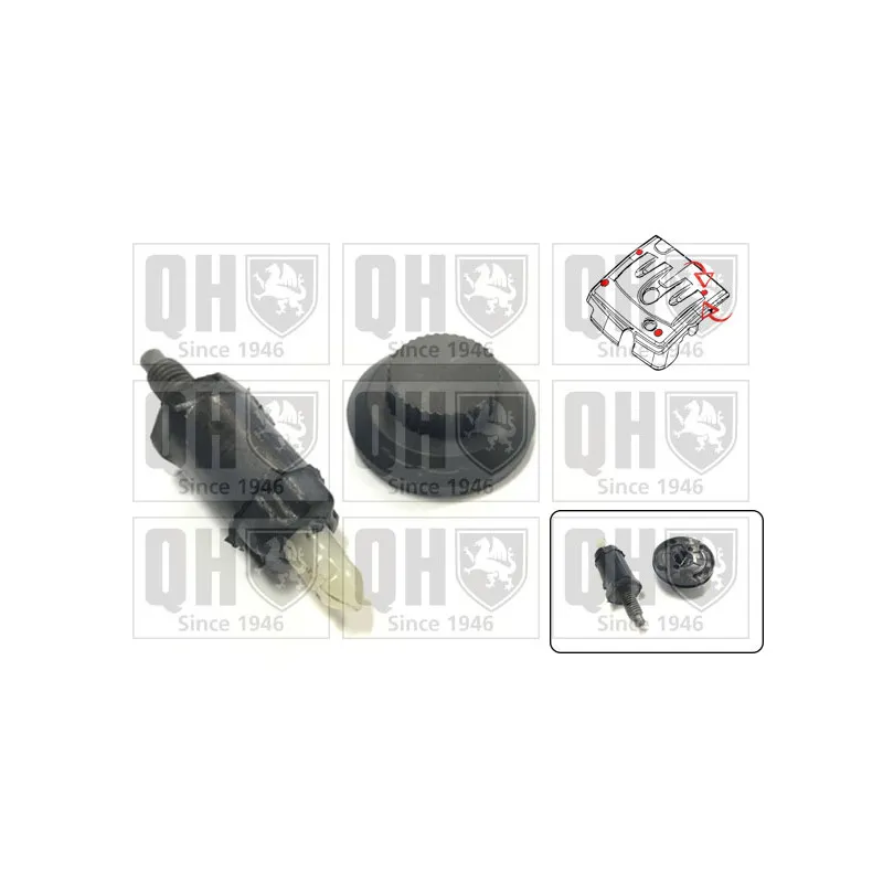 Cache moteur QUINTON HAZELL EM4449