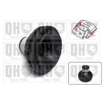 Fixation cache moteur QUINTON HAZELL EM4839