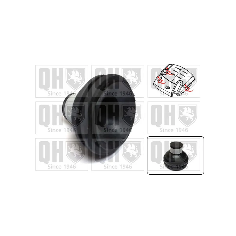 Fixation cache moteur QUINTON HAZELL EM4839