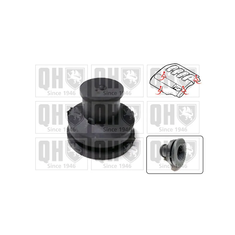 Cache moteur QUINTON HAZELL EM4846