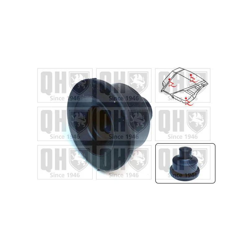 Cache moteur QUINTON HAZELL EM4924