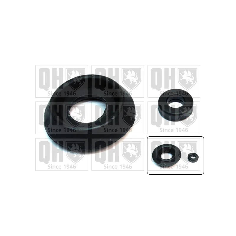 Kit de réparation, coupelle de suspension QUINTON HAZELL EMA5043