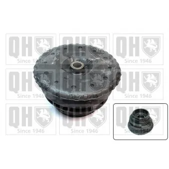 Kit de réparation, coupelle de suspension QUINTON HAZELL EMA6145