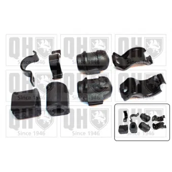Kit de réparation, suspension du stabilisateur QUINTON HAZELL EMBK2658