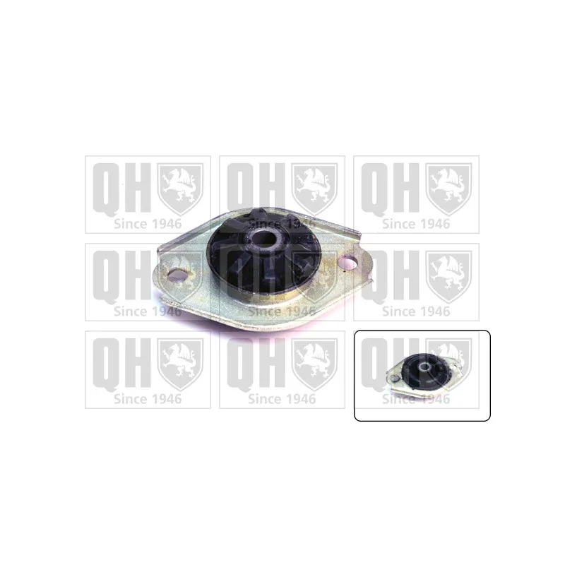 Coupelle de suspension QUINTON HAZELL EMR2221