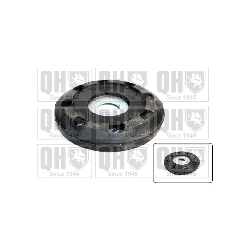 Patin de ressort QUINTON HAZELL EMR4811