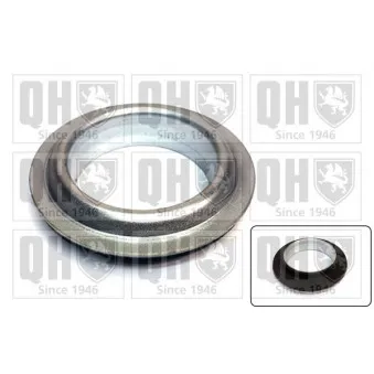 Patin de ressort QUINTON HAZELL EMR4839