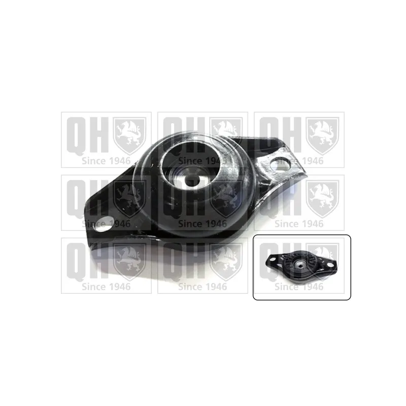Coupelle de suspension QUINTON HAZELL EMR4900