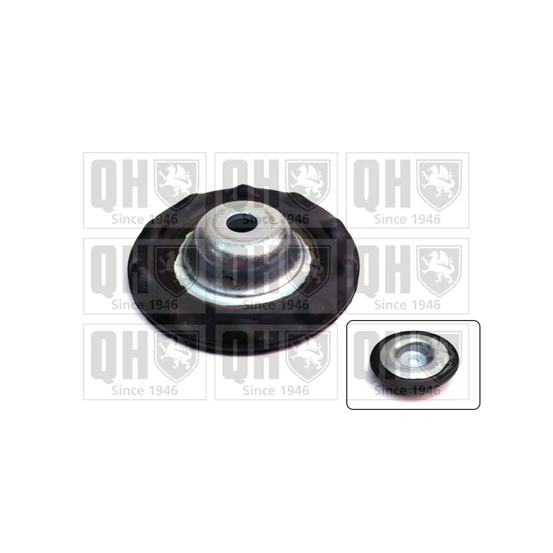 Patin de ressort QUINTON HAZELL EMR4901