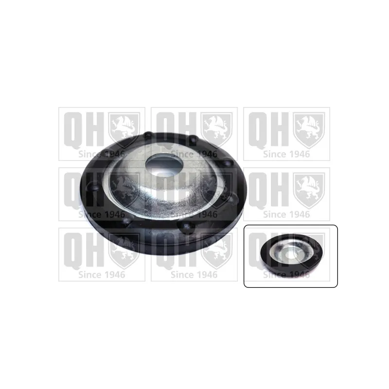 Patin de ressort QUINTON HAZELL EMR4910