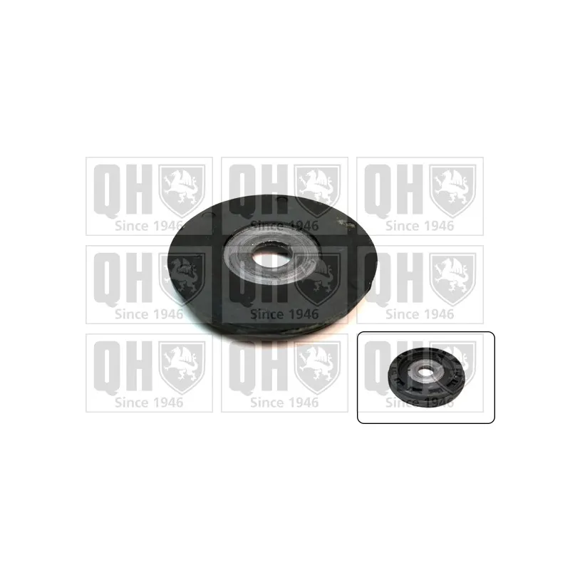 Patin de ressort QUINTON HAZELL EMR4943