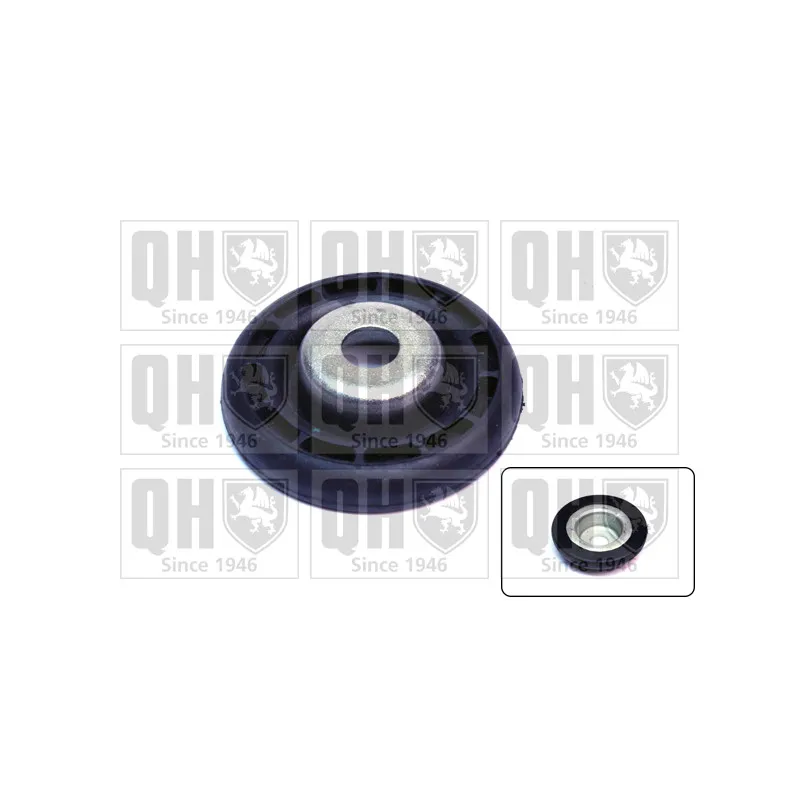 Patin de ressort QUINTON HAZELL EMR4947