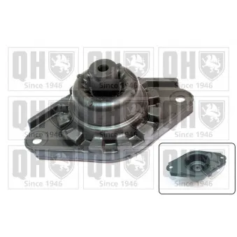 Coupelle de suspension QUINTON HAZELL EMR4953