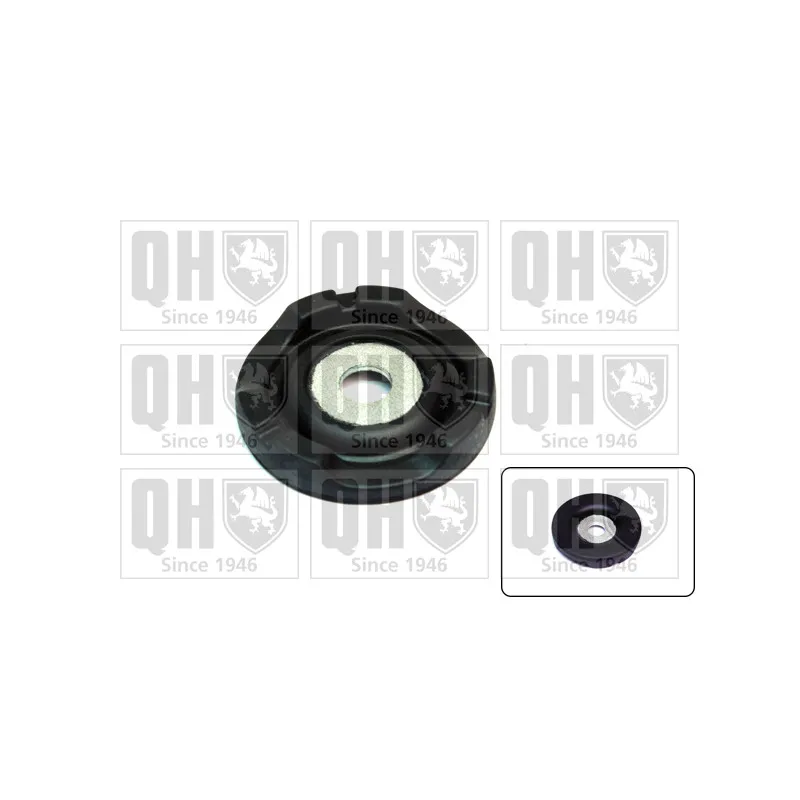 Patin de ressort QUINTON HAZELL EMR4957