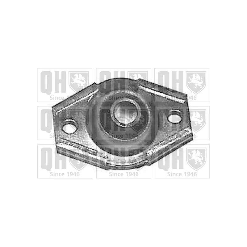Silent bloc de suspension (train avant) QUINTON HAZELL EMS2030
