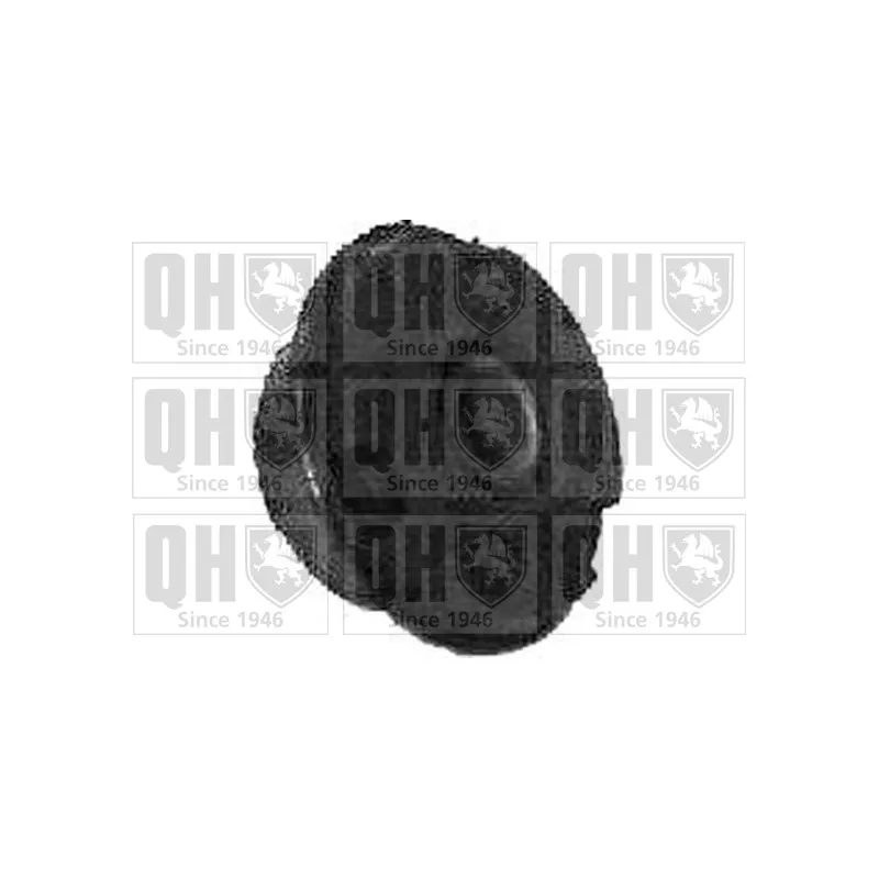 Silent bloc de suspension (train avant) QUINTON HAZELL EMS2169