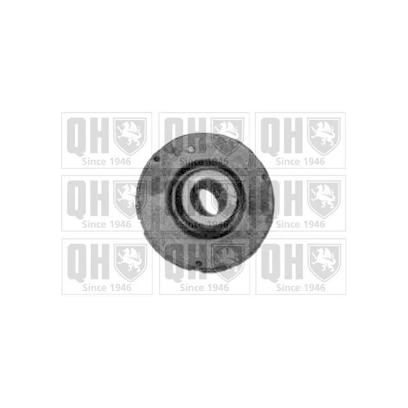 Silent bloc de suspension (train avant) QUINTON HAZELL EMS2447