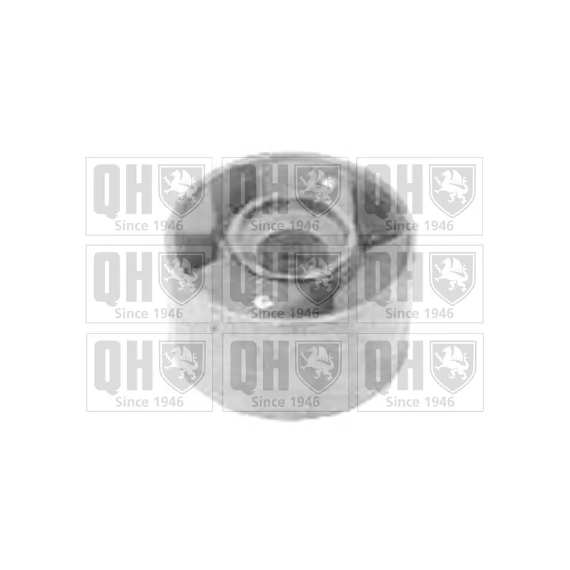 Silent bloc de suspension (train avant) QUINTON HAZELL EMS2654