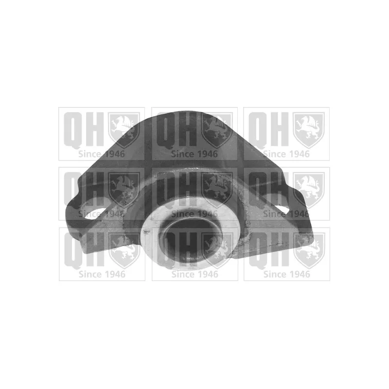 Silent bloc de suspension (train avant) QUINTON HAZELL EMS2664