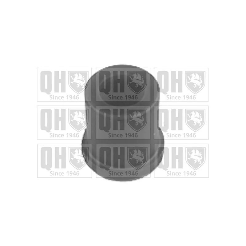 Suspension, ressort à lames QUINTON HAZELL EMS8028
