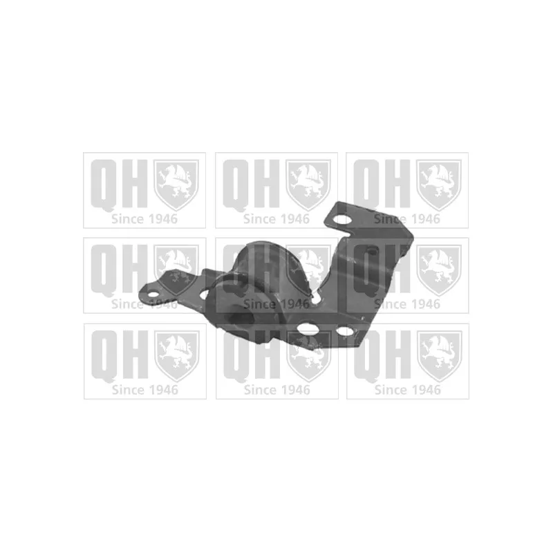 Silent bloc de suspension (train avant) QUINTON HAZELL EMS8036