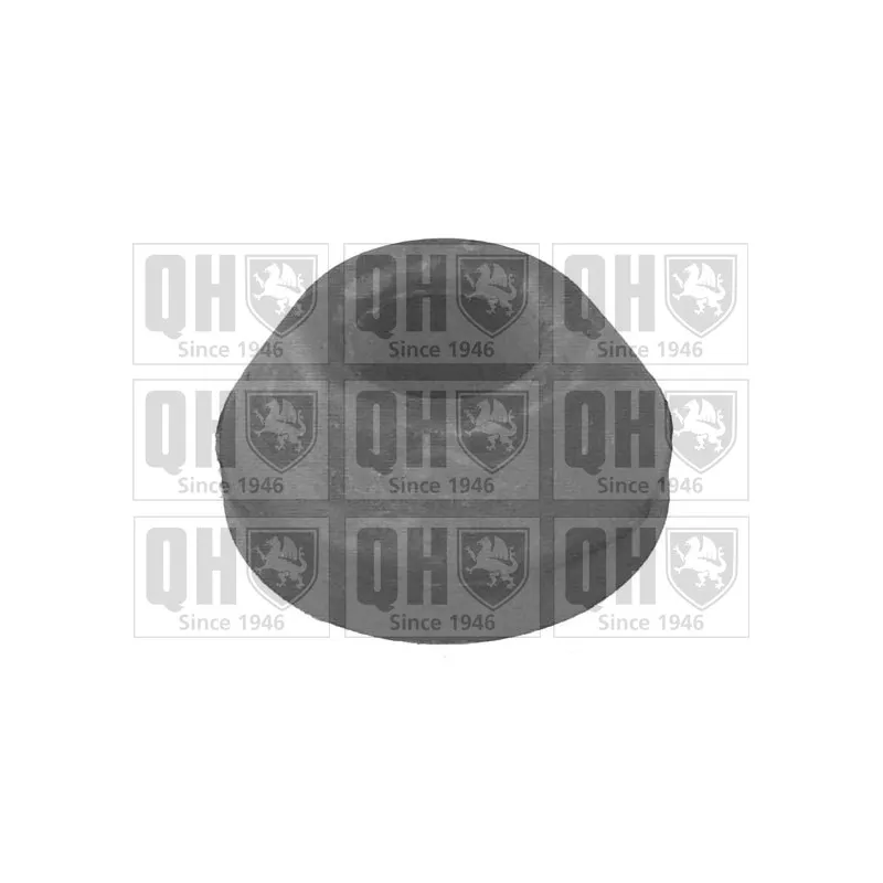Silent bloc de suspension (train avant) QUINTON HAZELL EMS8047