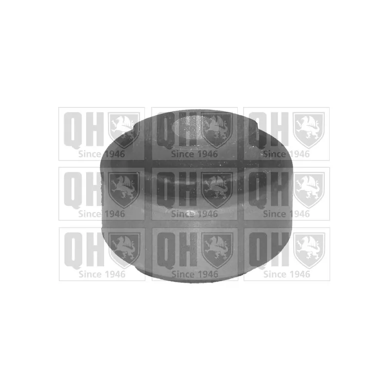 Silent bloc de suspension (train avant) QUINTON HAZELL EMS8066